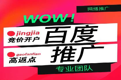 SEM代理实战：成功案例分享与经验总结